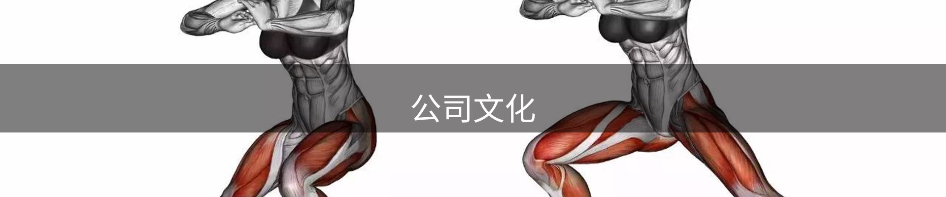 公司文化